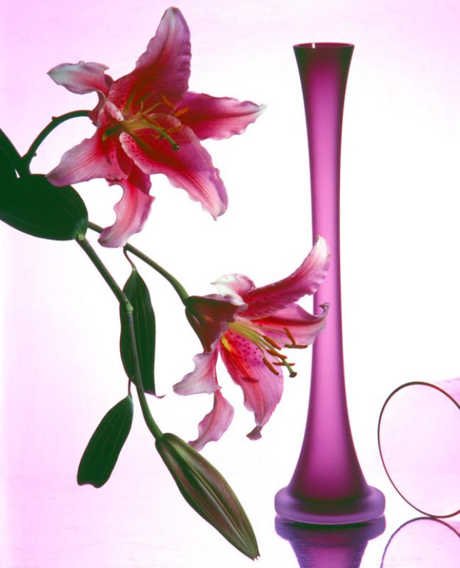 Karneol K-08.P-03.03 • Fotografia. Szklany wazon i kwiaty lilii.