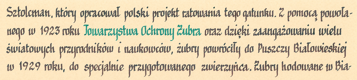 Kaligrafia