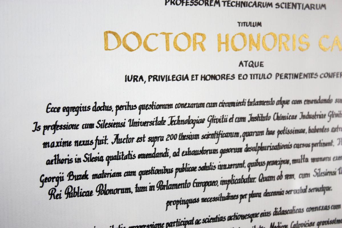 Karneol Nr 01.06 • Akt nadania tytułu doktora honoris causa. Kaligrafia – styl cancelaresca i antykwa renesansowa. Papier czerpany w formacie B2.