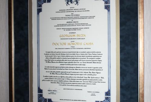 Karneol Nr 01.08 • Akta nadania tytułu doktora honoris causa. Ręcznie wykonana ozdobna ramka i złocenia. Oprawa w stylową ramę z drewna.