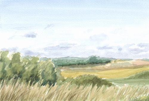Karneol K-08.P-02.06 • Ilustracje ręczne. Pejzaż – łąki latem. Akwarela.